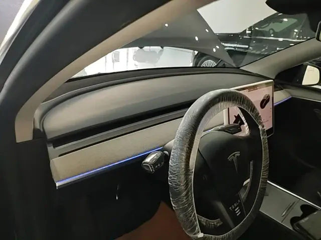 Tesla Model Y — Фото автомобиля 9