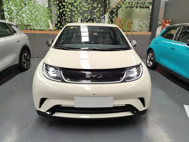 BYD Dolphin — Фото автомобиля 2