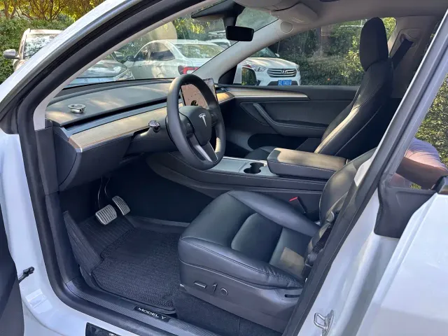 Tesla Model Y — Фото автомобиля 9