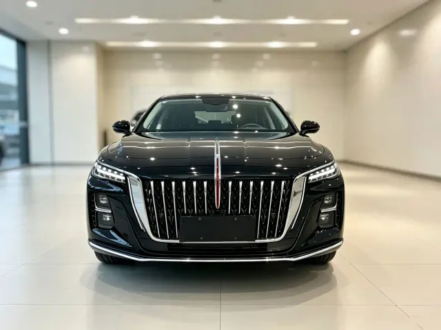 Hongqi Hongqi H5 2024 1.5T DCT Smart Connect Flag Rhythm Edition — Фото автомобиля 2