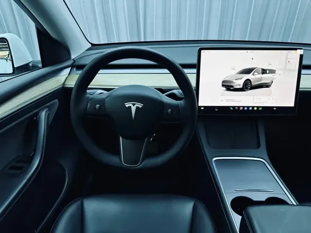Tesla Model Y — Фото автомобиля 13