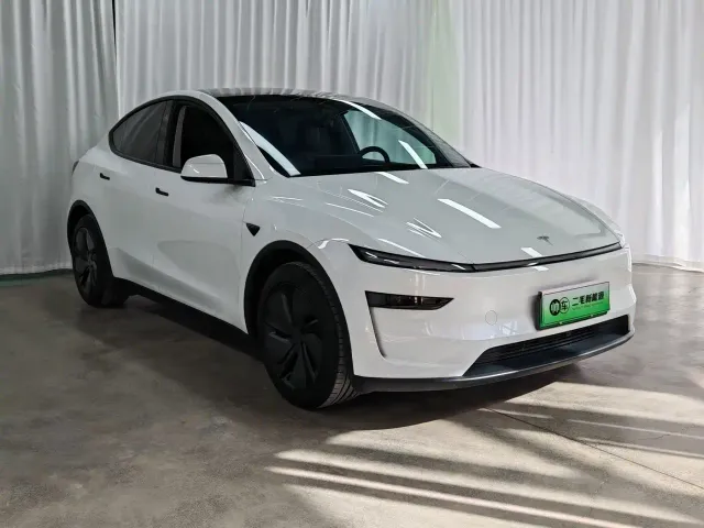 Tesla Model Y — Фото автомобиля 3