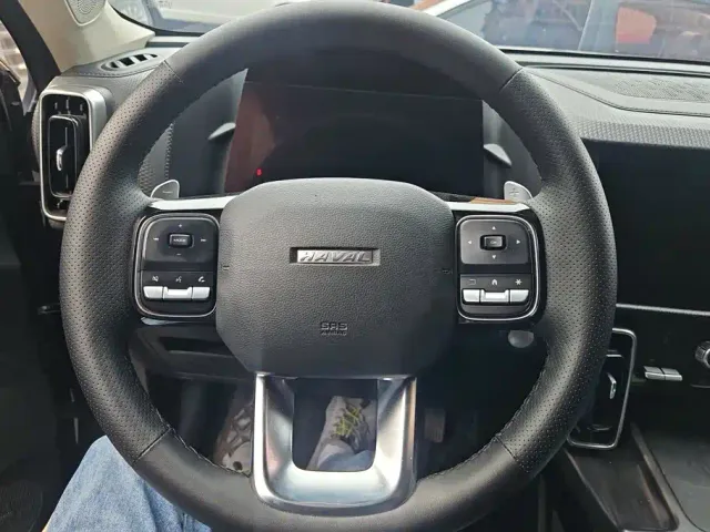 Haval Big Dog — Фото автомобиля 15