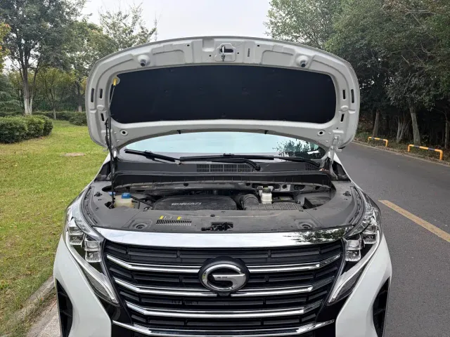 GAC Trumpchi M8 — Фото автомобиля 10