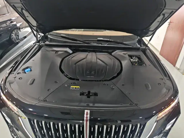 Hongqi H9 — Фото автомобиля 19