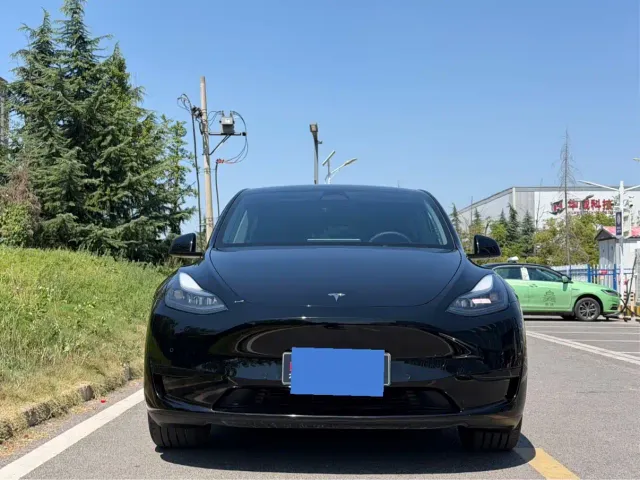 Tesla Model Y — Фото автомобиля 2