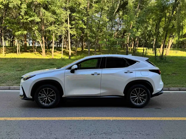 Lexus NX — Фото автомобиля 3