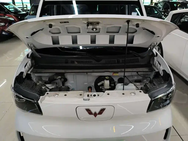 Wuling Zhiguang NEV — Фото автомобиля 19