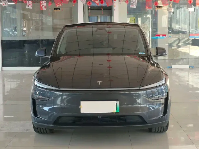 Tesla Model Y — Фото автомобиля 2