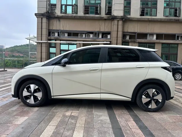 BYD Dolphin — Фото автомобиля 3