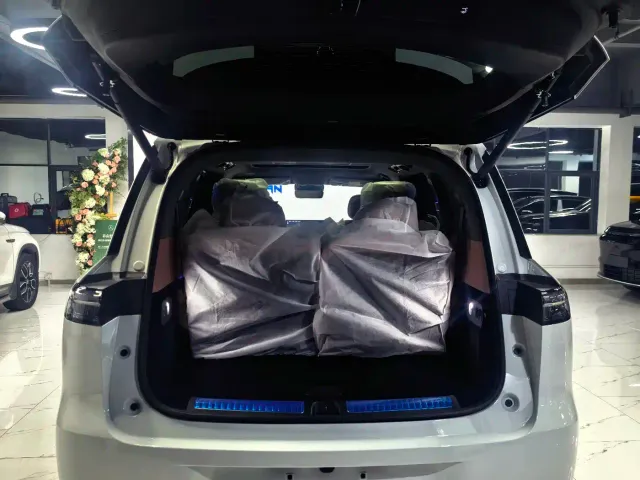Leapmotor D Series — Фото автомобиля 20