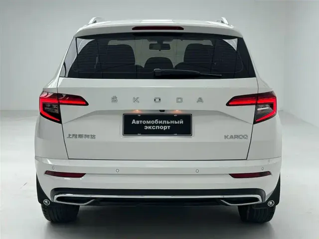 Skoda Karoq — Фото автомобиля 16