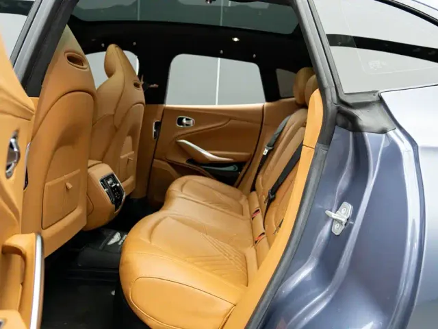Aston Martin DBX — Фото автомобиля 10