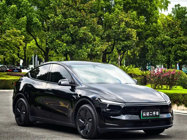 Tesla Model Y — Фото автомобиля 3