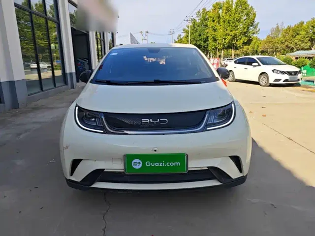 BYD Dolphin — Фото автомобиля 2