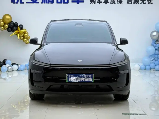 Tesla Model Y — Фото автомобиля 2