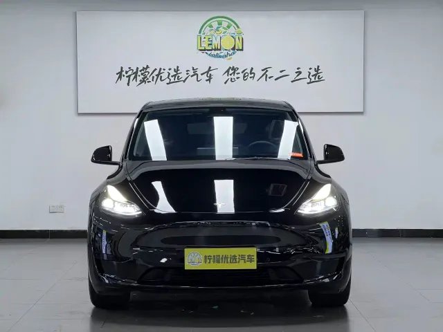Tesla Model Y — Фото автомобиля 3