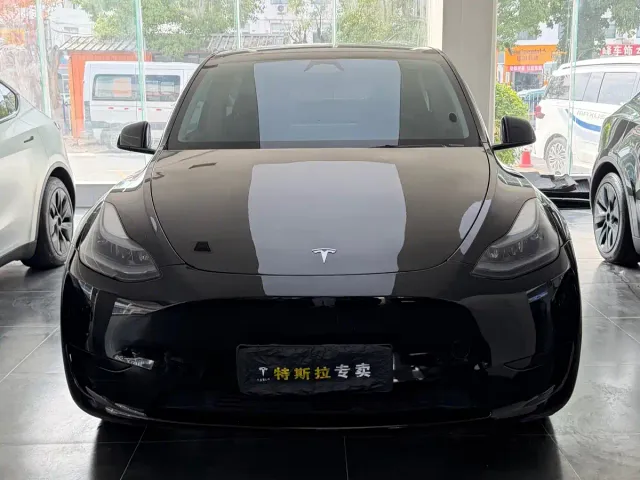 Tesla Model Y — Фото автомобиля 2