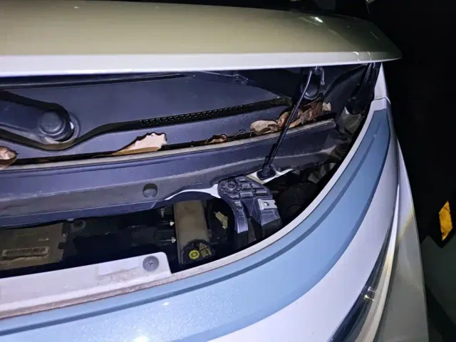 Wuling NanoEV — Фото автомобиля 22