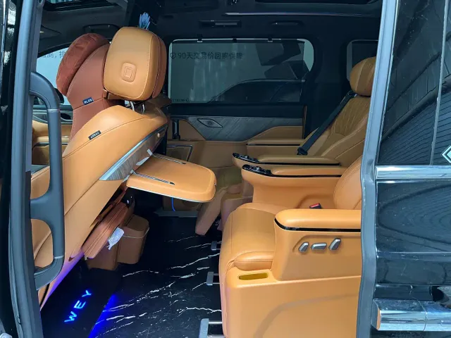 Wey Alpine — Фото автомобиля 13