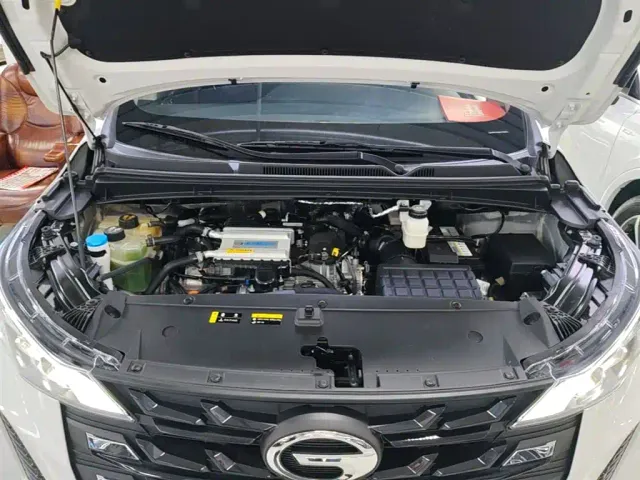 GAC Trumpchi M6 — Фото автомобиля 19