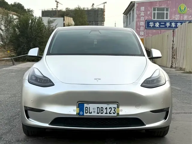 Tesla Model Y — Фото автомобиля 2