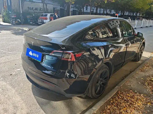 Tesla Model Y — Фото автомобиля 3