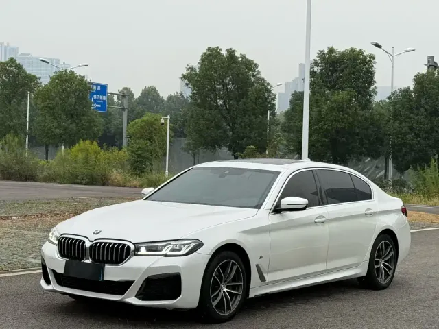 BMW 5 Series — Фото автомобиля 3