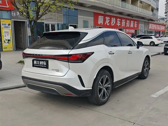 Lexus RX — Фото автомобиля 5