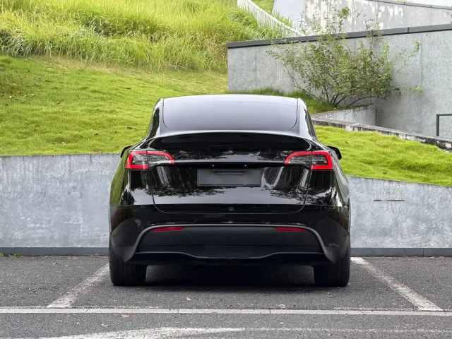 Tesla Model Y — Фото автомобиля 6