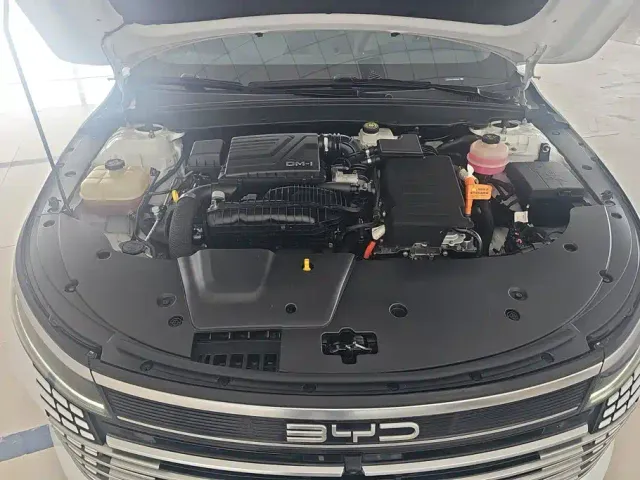BYD Destroyer 05 2022 DM-i 55KM Premium — Фото автомобиля 10
