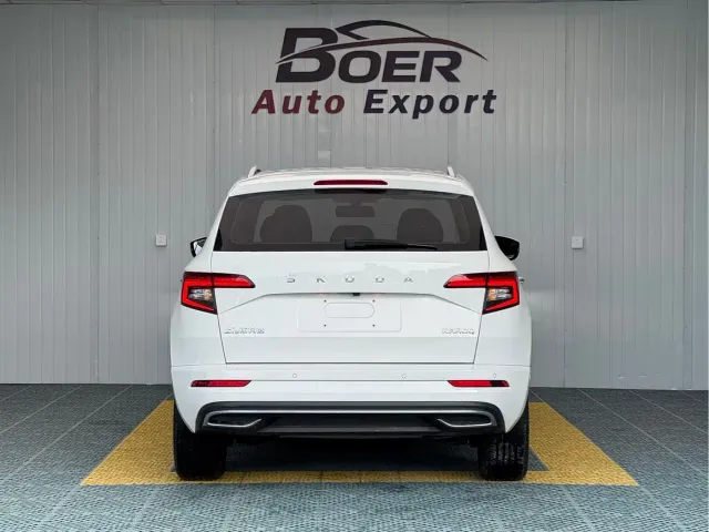 Skoda Karoq — Фото автомобиля 4