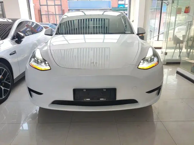 Tesla Model Y — Фото автомобиля 2