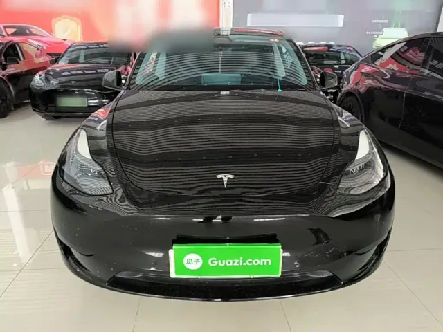 Tesla Model Y — Фото автомобиля 2
