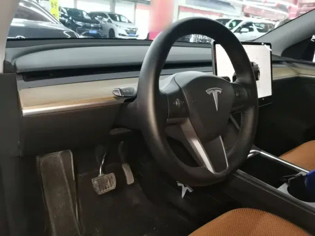 Tesla Model Y — Фото автомобиля 9