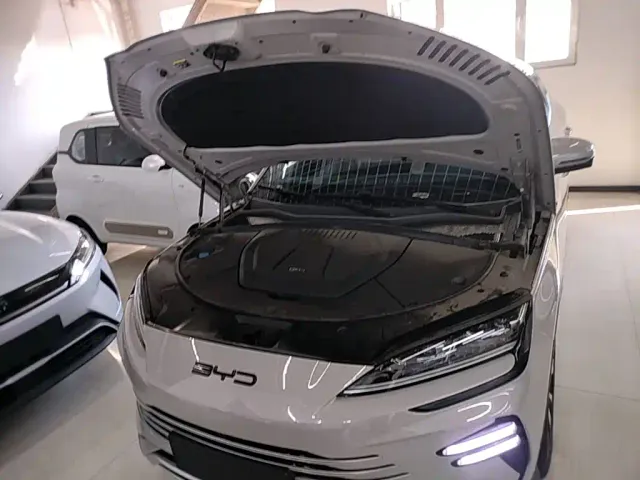 BYD Song PLUS — Фото автомобиля 19
