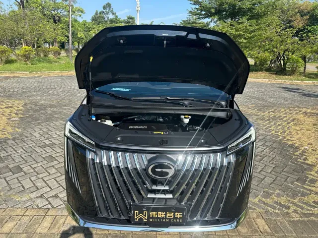 GAC Trumpchi M8 — Фото автомобиля 21