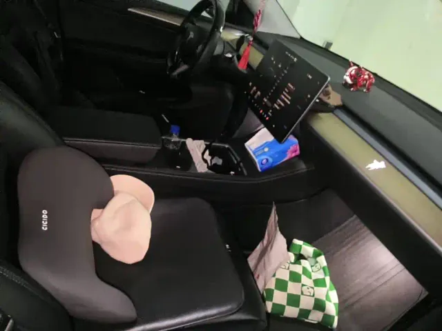 Tesla Model Y — Фото автомобиля 13