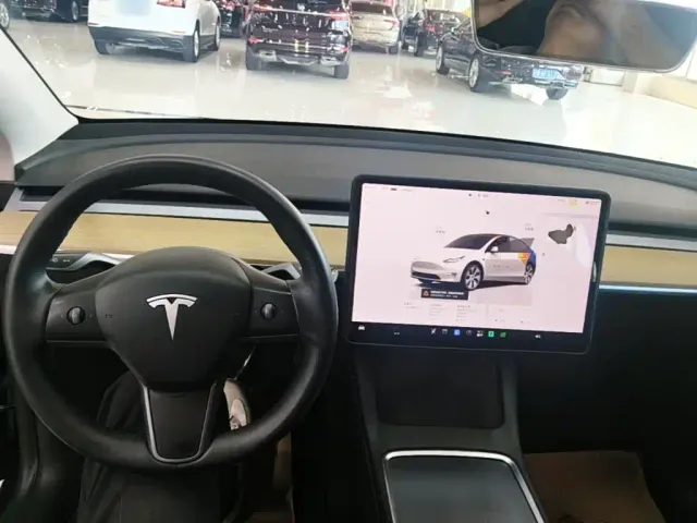 Tesla Model Y — Фото автомобиля 9