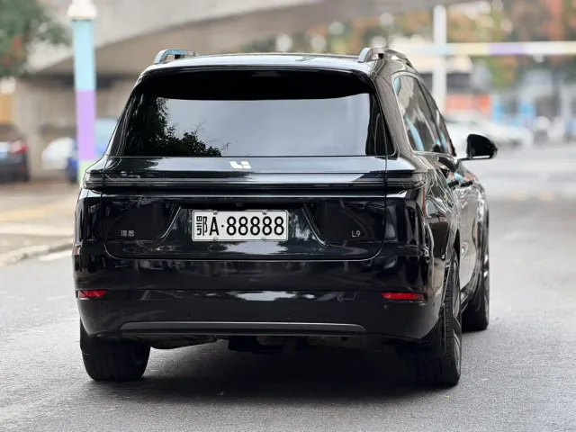 Li Auto L9 — Фото автомобиля 6