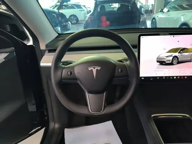 Tesla Model Y — Фото автомобиля 10