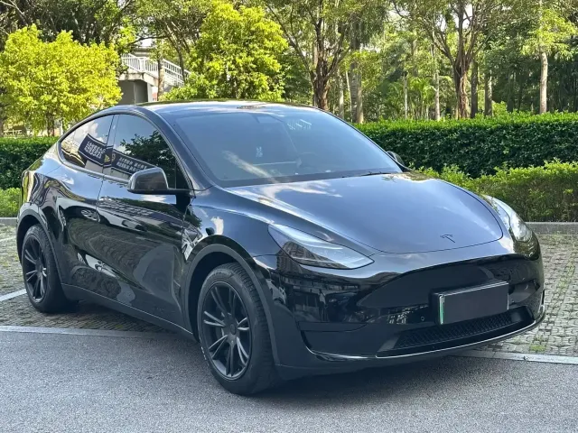 Tesla Model Y — Фото автомобиля 3