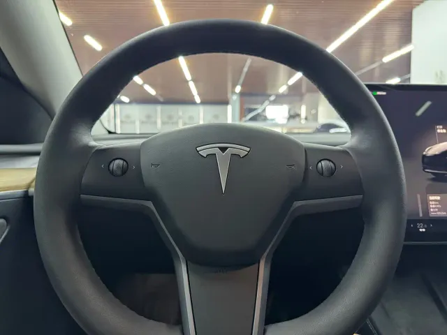 Tesla Model Y — Фото автомобиля 10