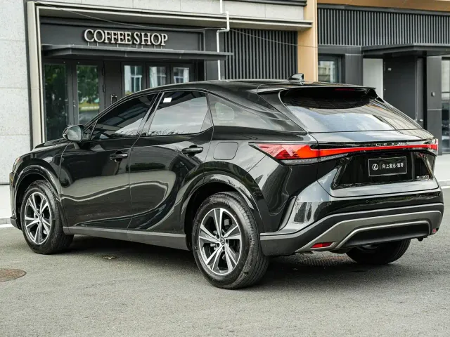 Lexus RX — Фото автомобиля 6