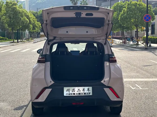 BYD Seagull — Фото автомобиля 8
