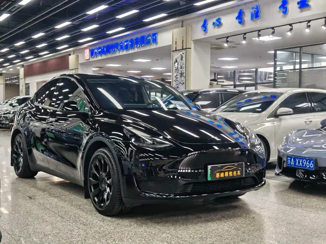 Tesla Model Y — Фото автомобиля 3