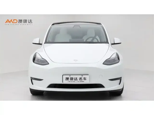 Tesla Model Y — Фото автомобиля 2