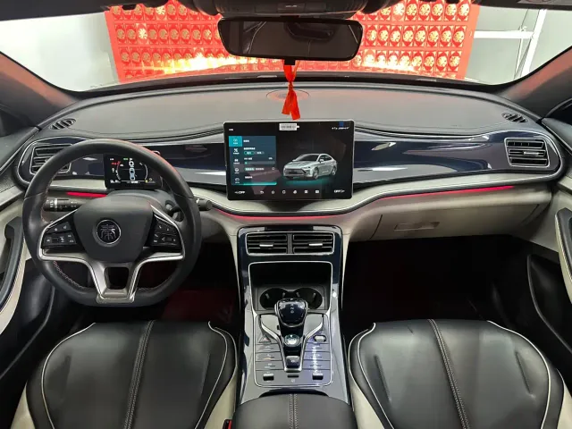 BYD Qin PLUS — Фото автомобиля 18