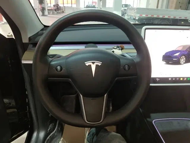 Tesla Model Y — Фото автомобиля 10