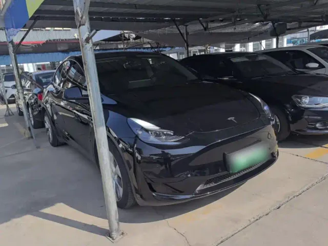 Tesla Model Y — Фото автомобиля 3